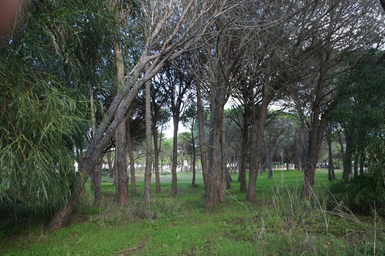 Locanda Farorientale Bed & Breakfast Santa Lucia  Luaran gambar